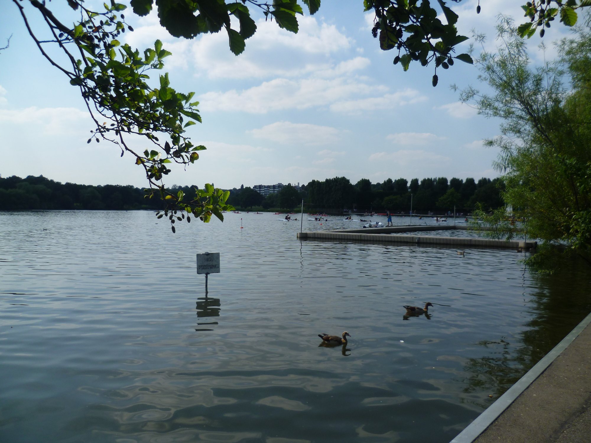 The lake in Wimbledon Park