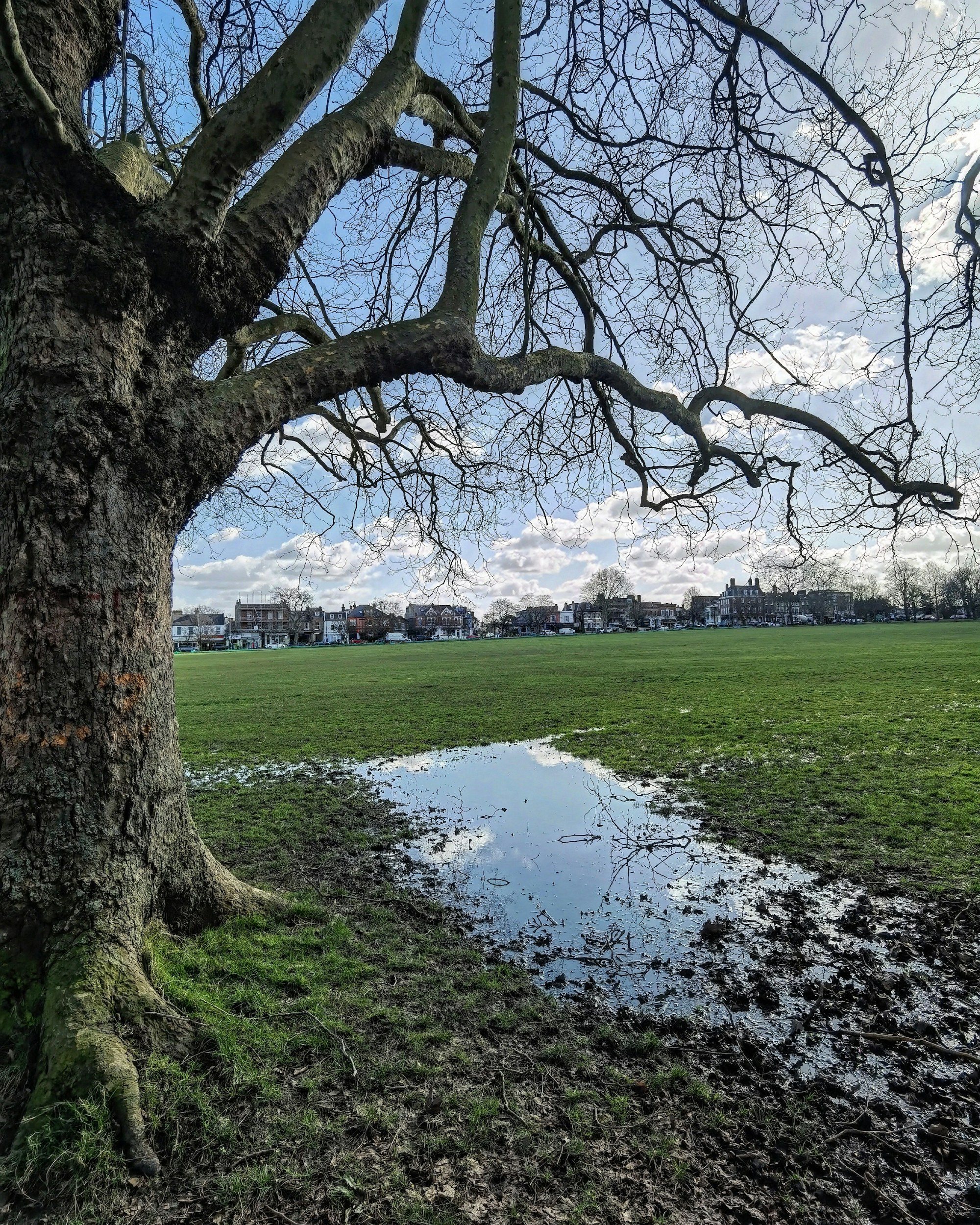 Wandsworth Common