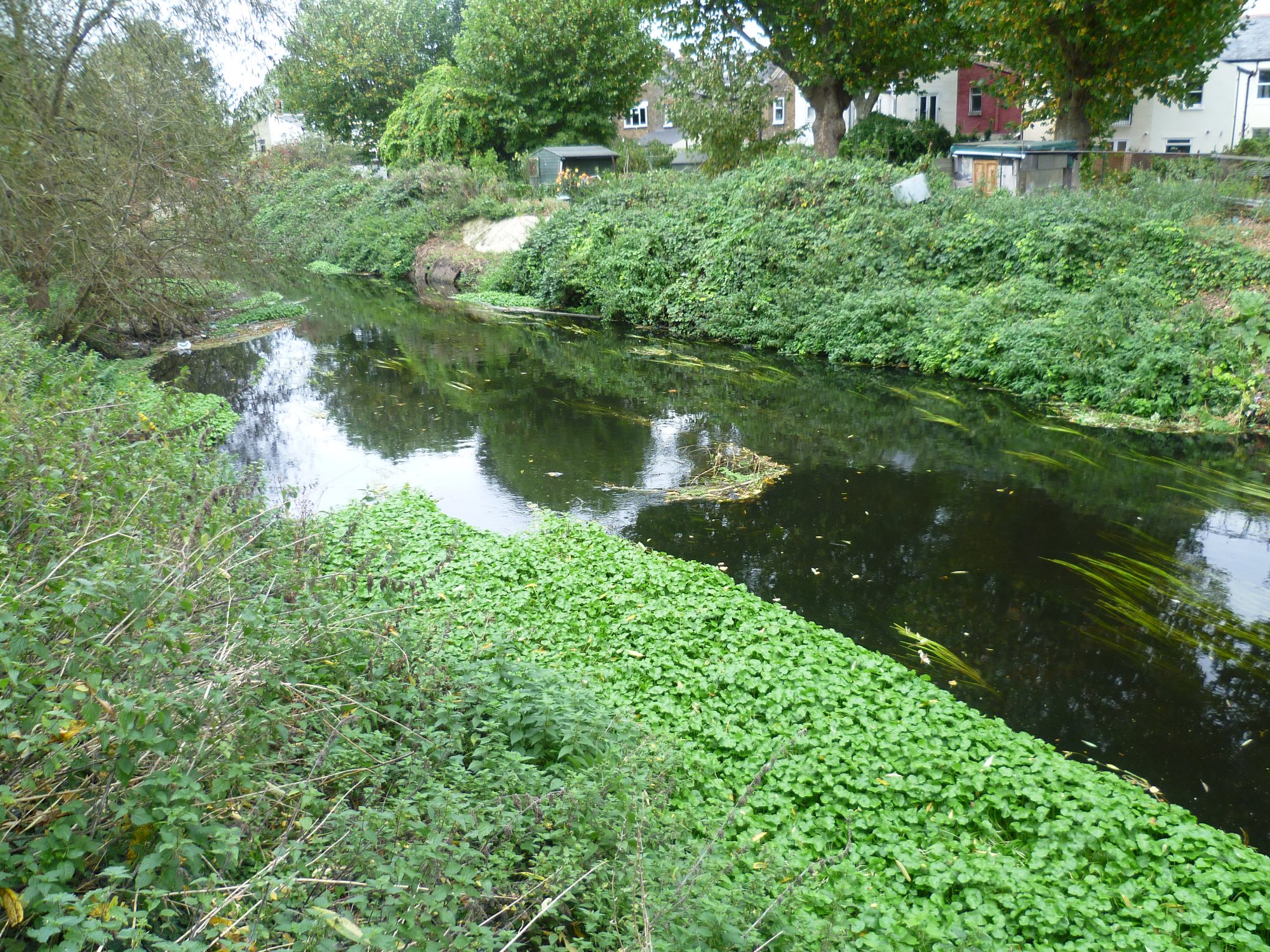 The River Wandle near Earlsfield