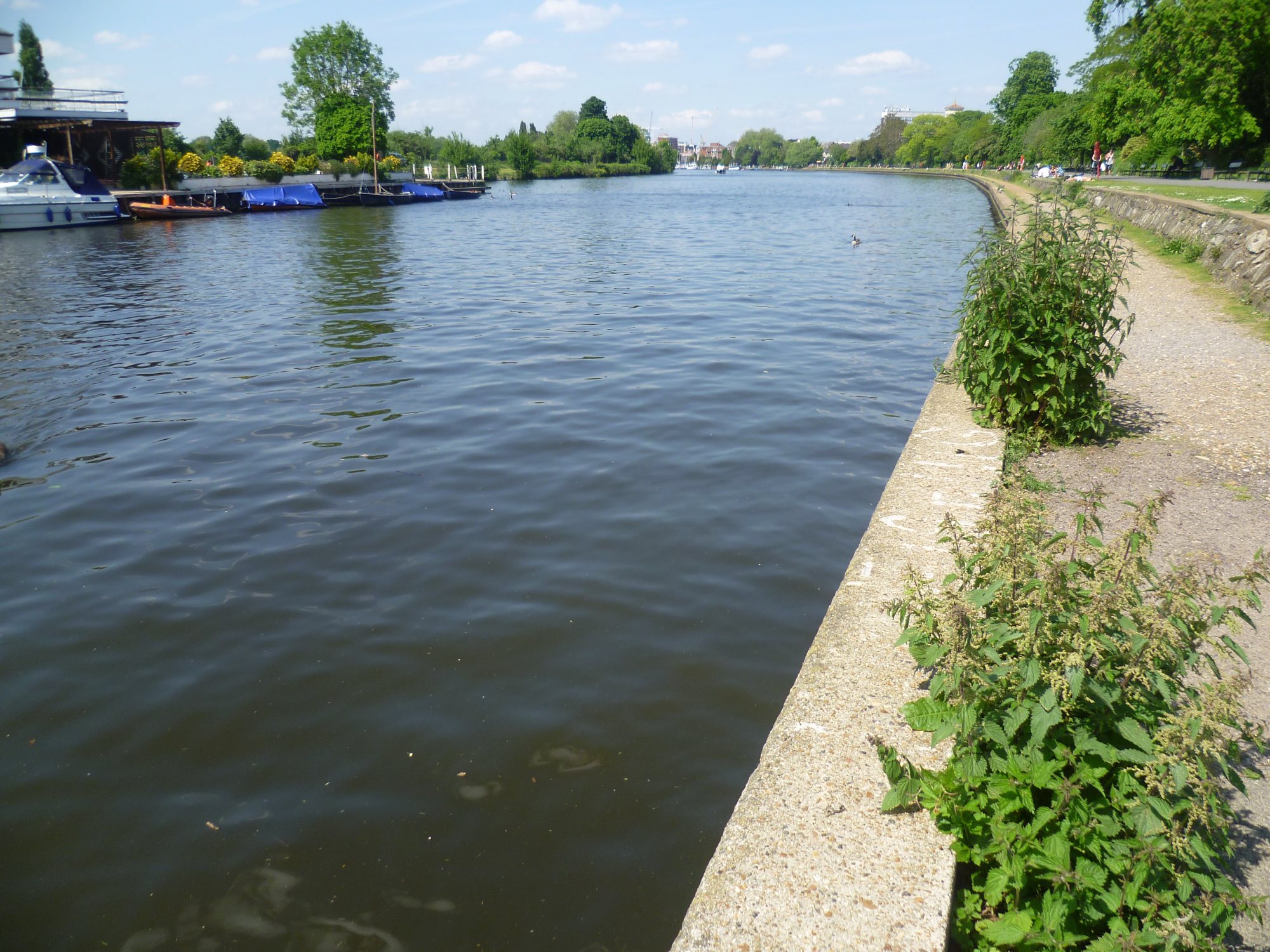 Riverside path on Queen’s Promenade beside the Thames
