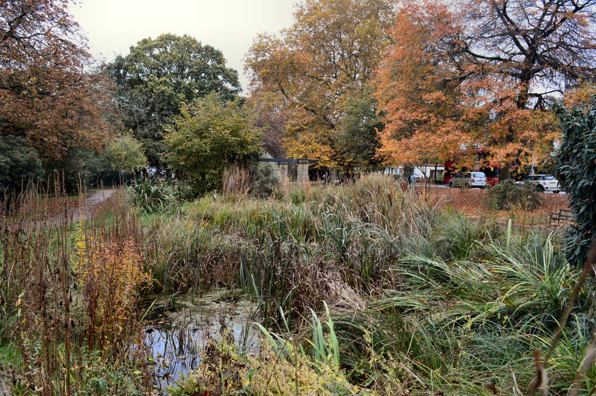 The pond in Claremont Gardens, Surbiton