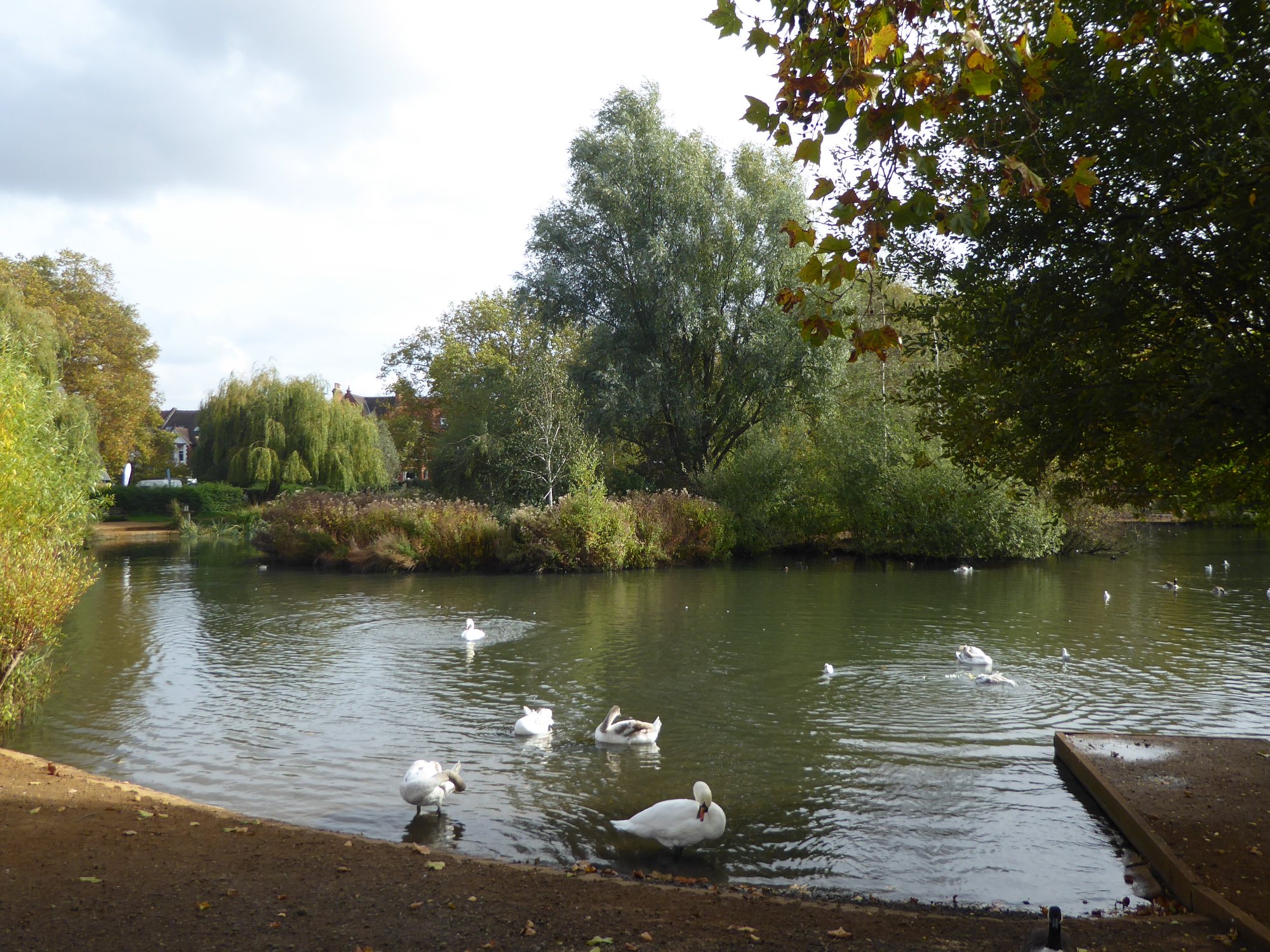 Barnes Pond on the village green