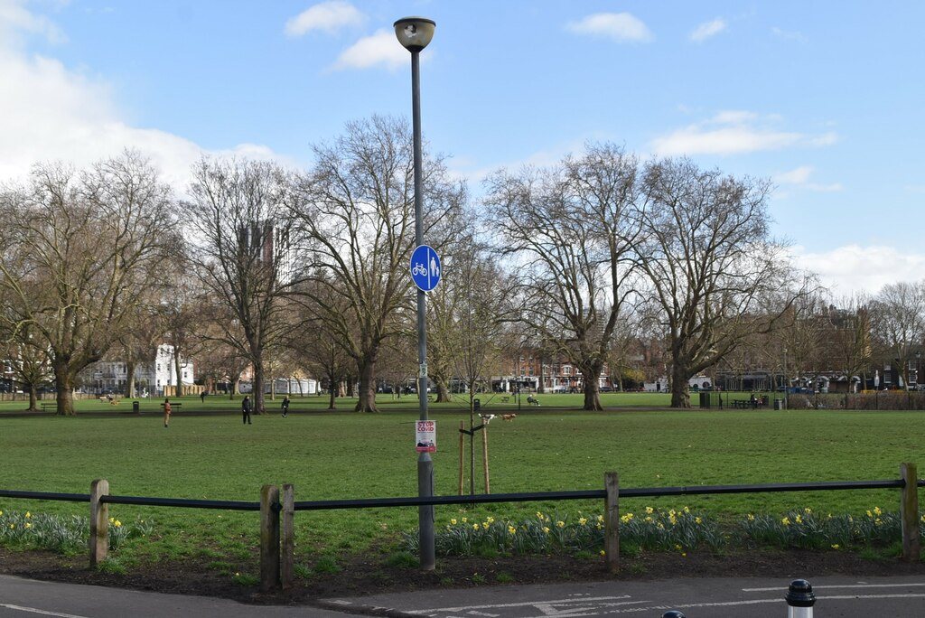 Open grass and trees on Eel Brook Common