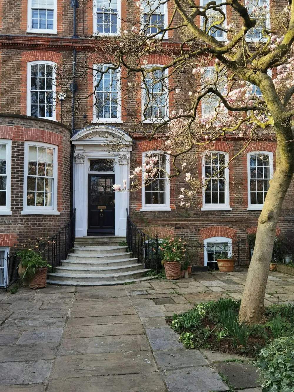 Georgian brick houses with a blossom tree in Clapham