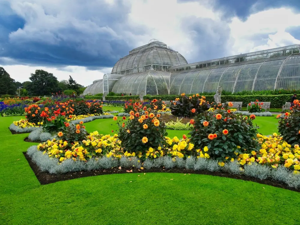 The Palm House at Kew Gardens