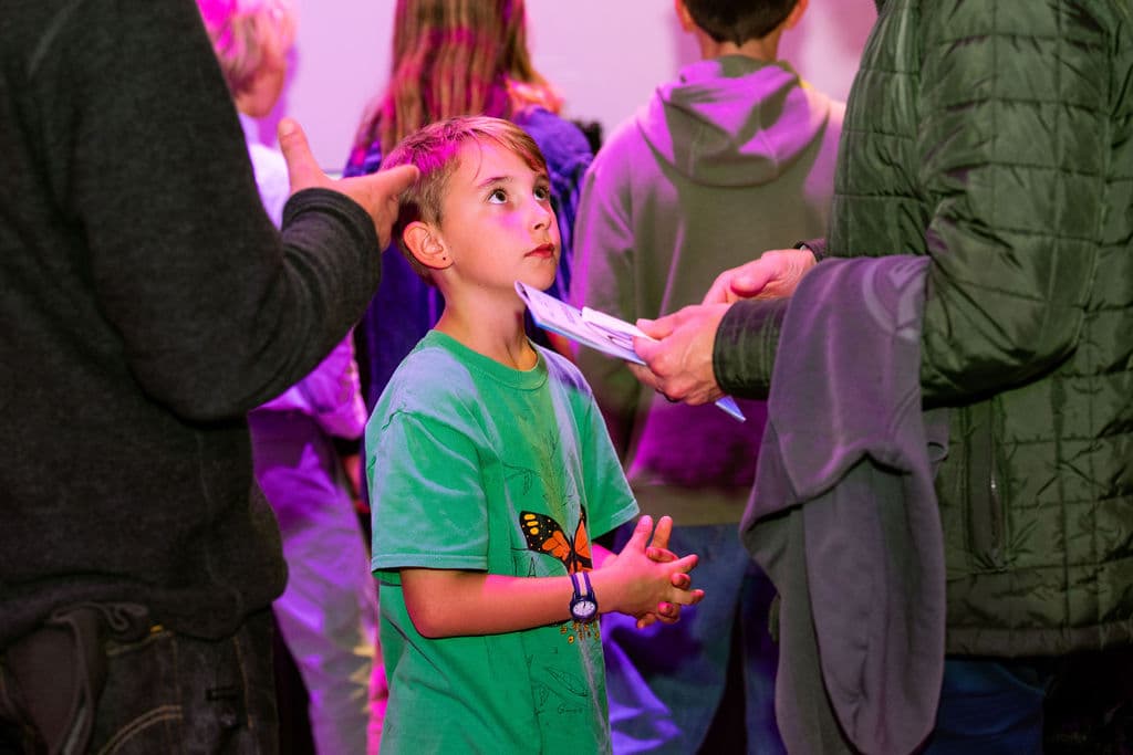 Salute to Youth 2026 - Image 82