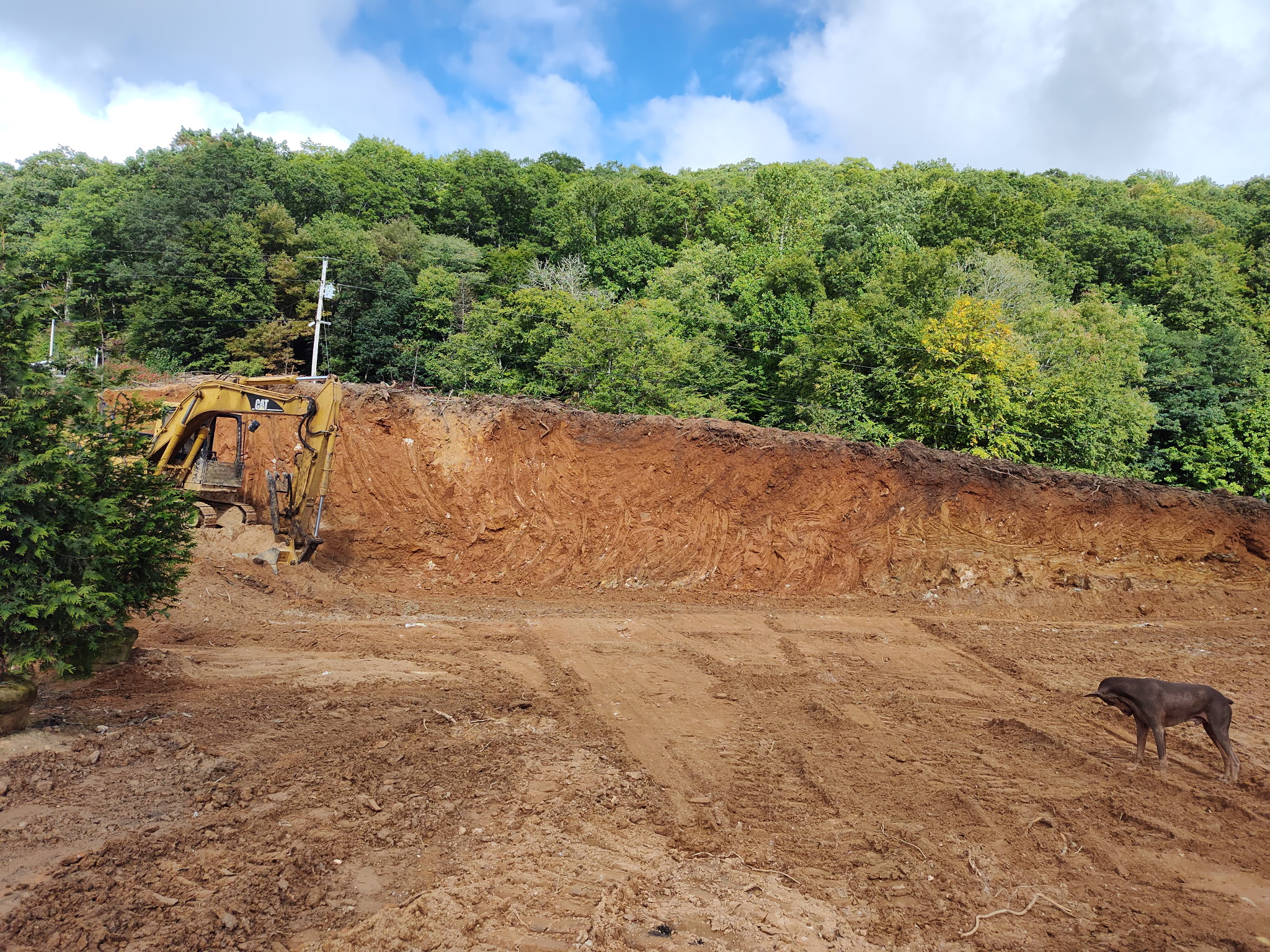 Excavator grading a level pad below a fresh cut bank on a mountain lot by Western Carolina Earthworx