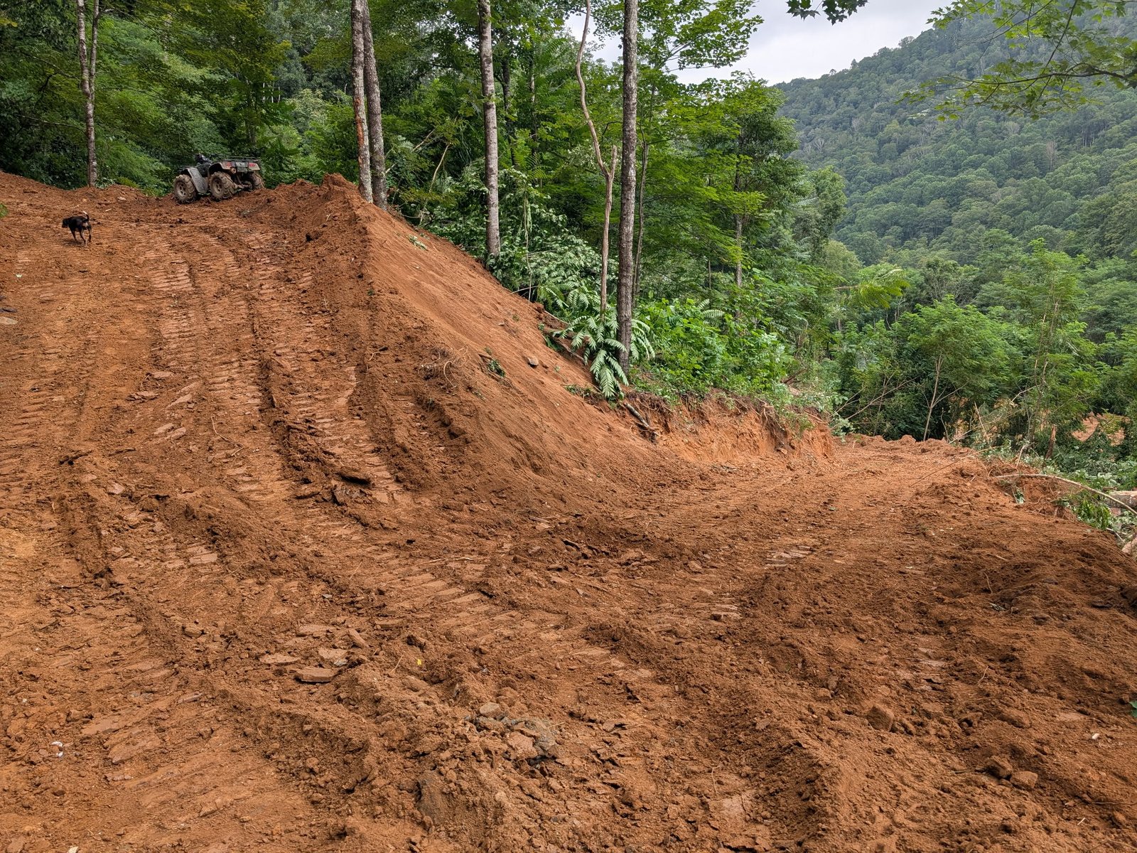 Private road switchback cut into a steep mountainside near Banner Elk, NC