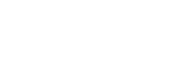 Blue Ox Towing Products