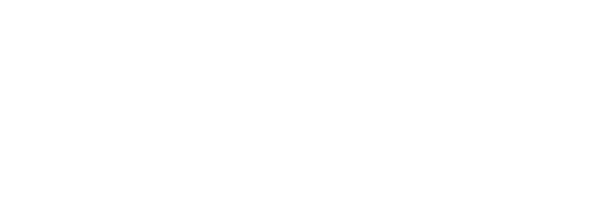 Nitto Tires