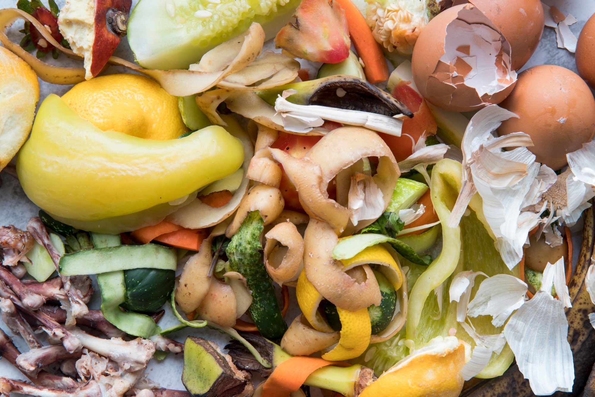 Épluchures de légumes et coquilles d’œufs vues de près