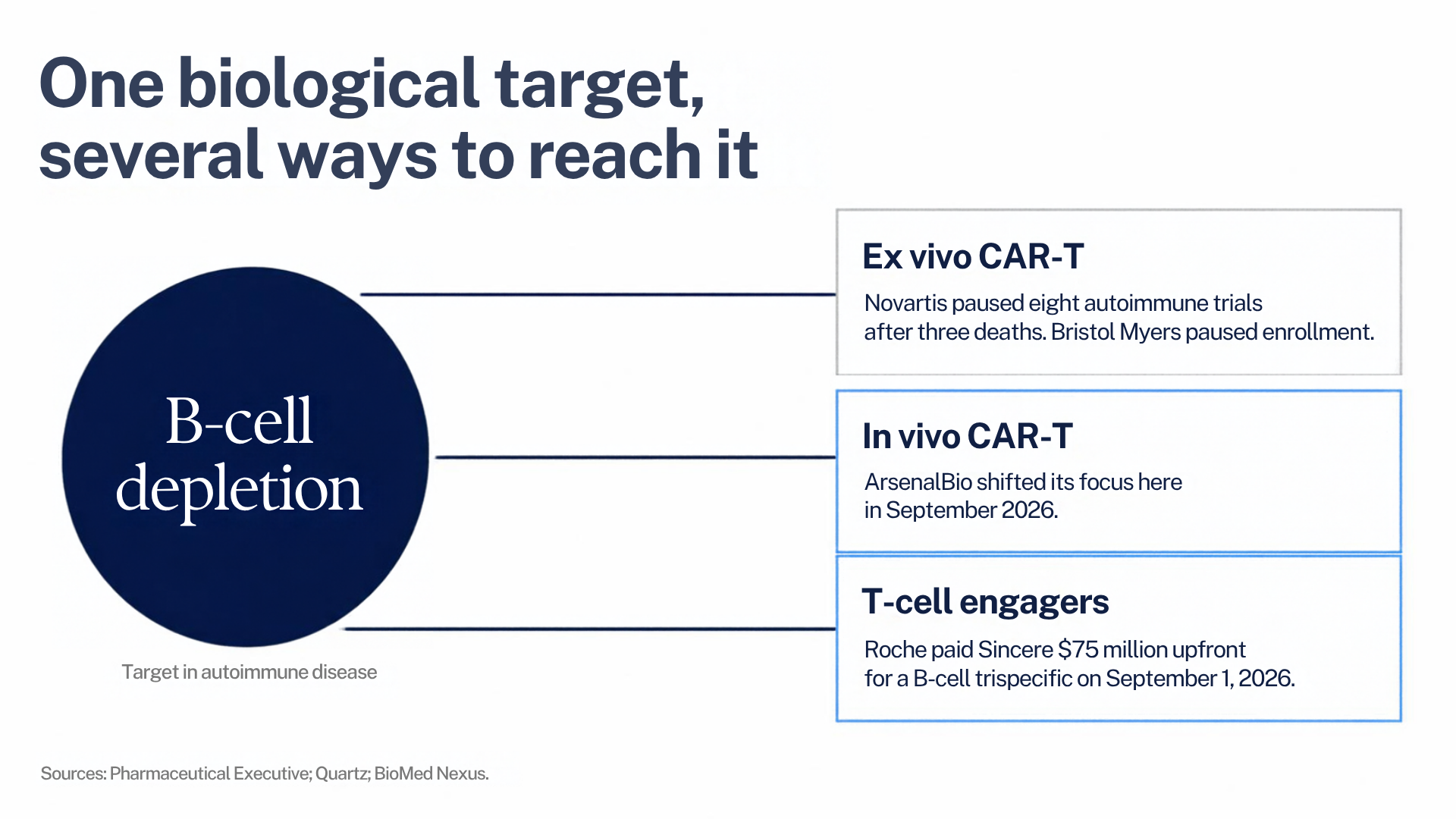 One biological target, several ways to reach it. B-cell depletion, a target in autoimmune disease, can be reached by ex vivo CAR-T, where Novartis paused eight autoimmune trials after three deaths and Bristol Myers paused enrollment; in vivo CAR-T, where ArsenalBio shifted its focus in September 2026; and T-cell engagers, where Roche paid $75 million upfront for a B-cell trispecific on September 1, 2026. Sources: Pharmaceutical Executive; Quartz; BioMed Nexus.