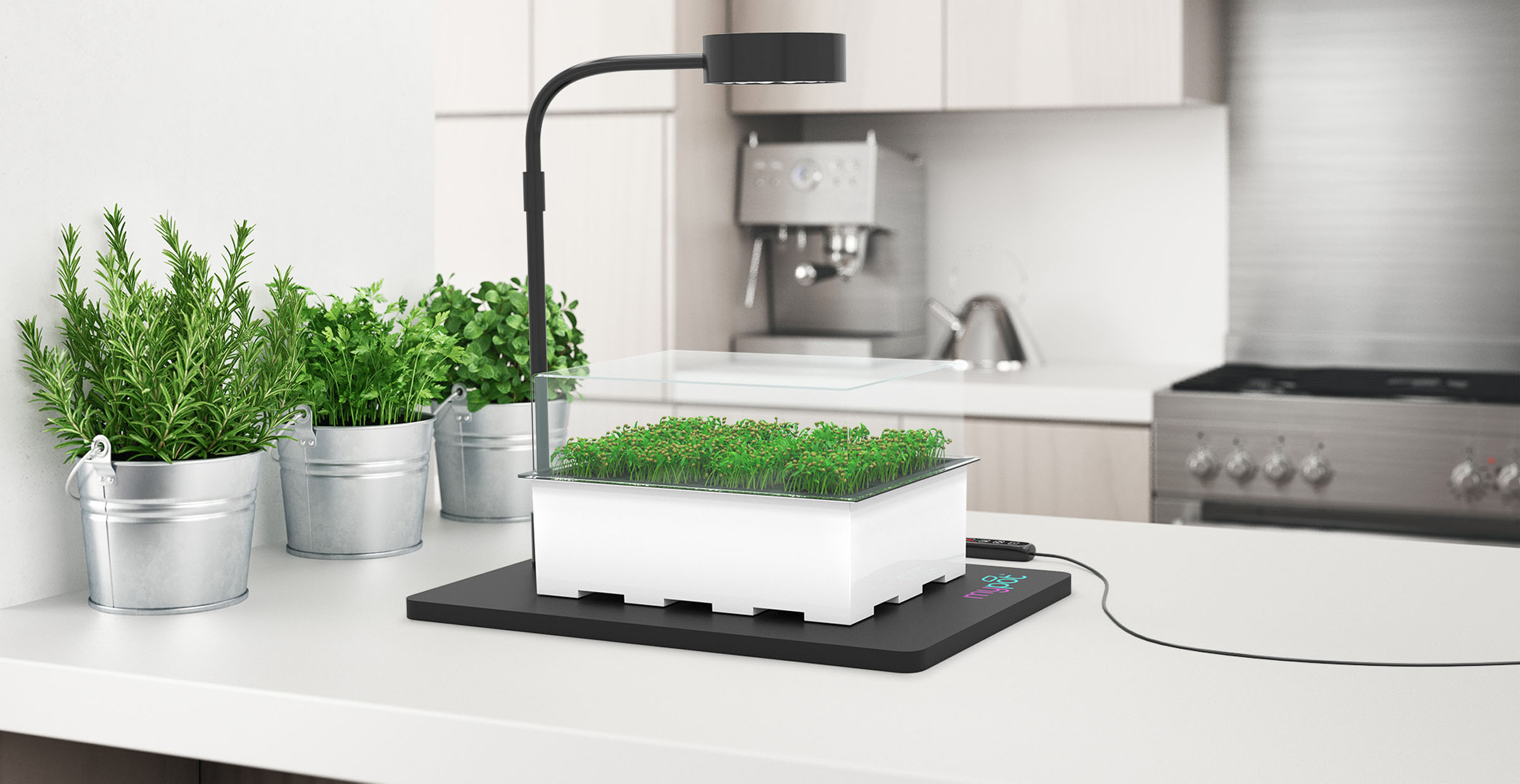 Garden planter kitchen microgreens, 3D product composite by 35milimetre