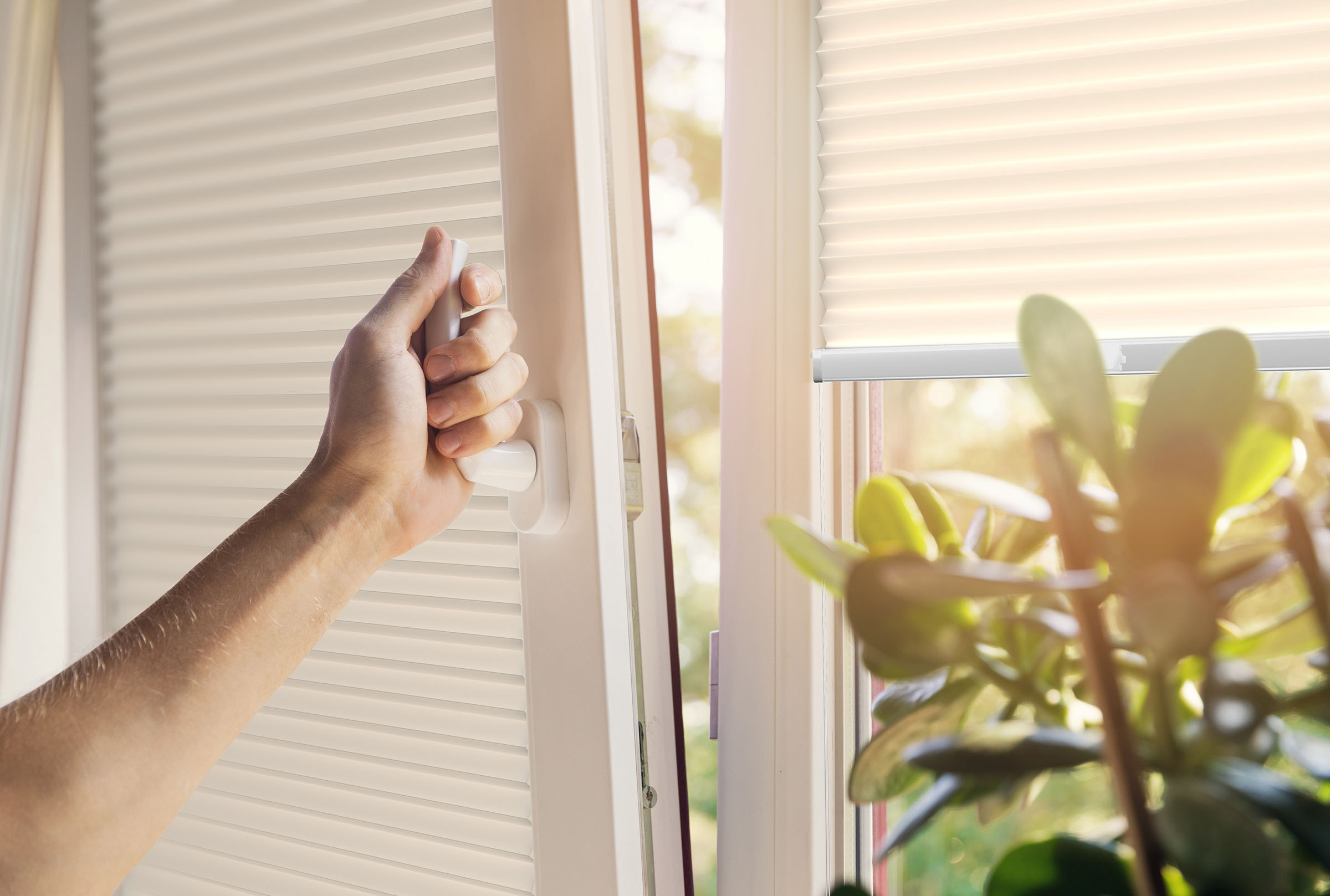 Window blinds hand operation, 3D render by 35milimetre