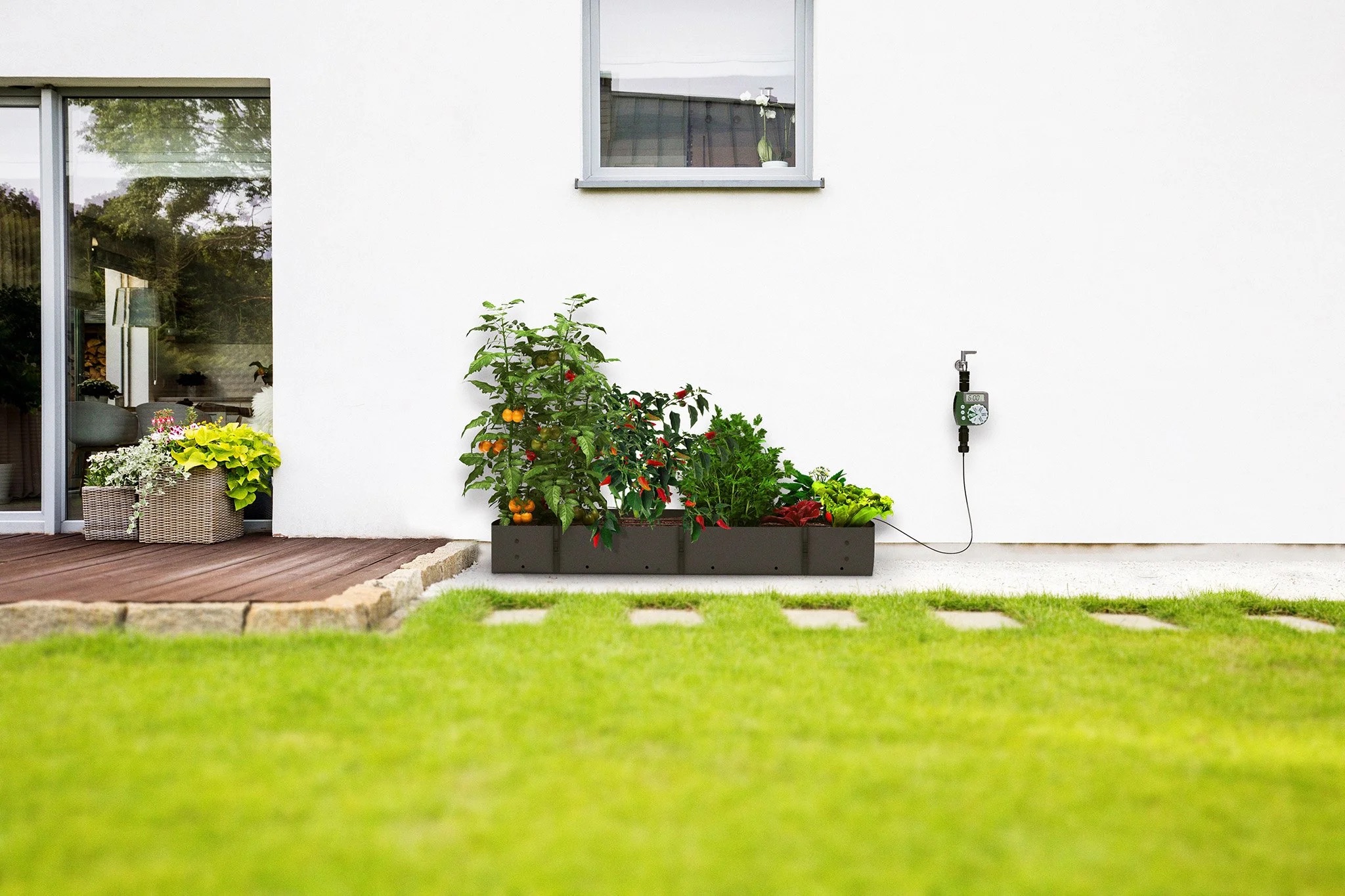Mypot: 3D Design and Compositing for Plants