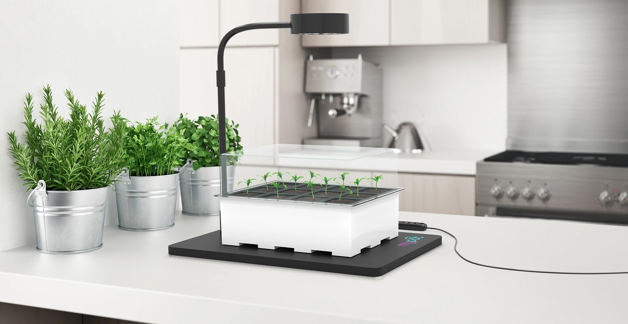 Mypot: 3D Design and Compositing for Plants