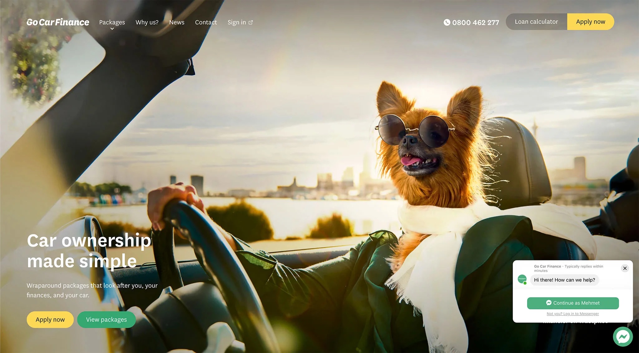Homepage View