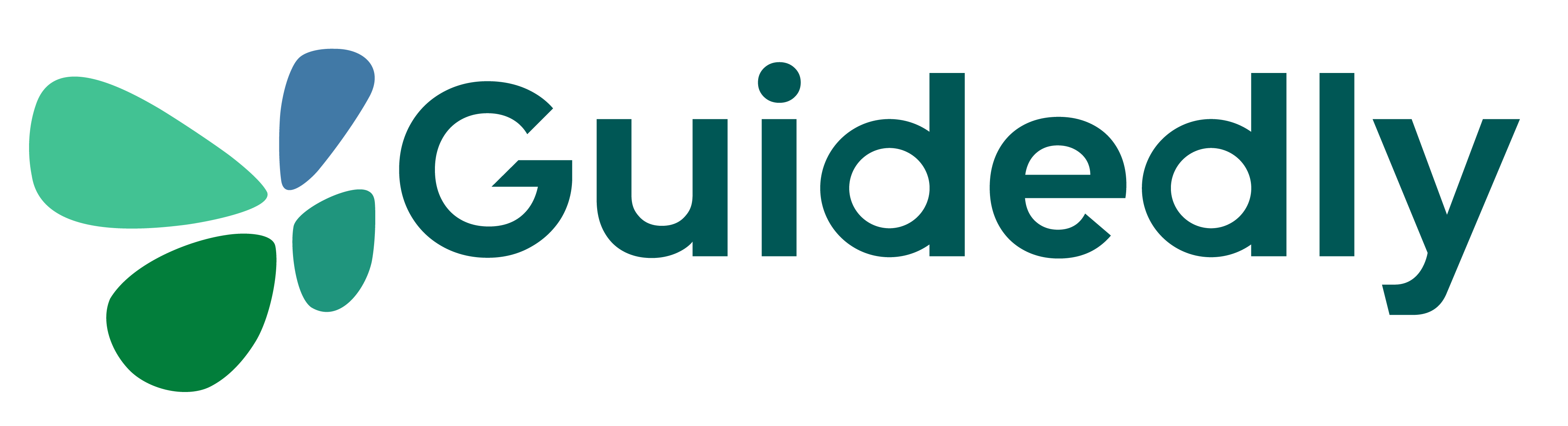 Guidedly