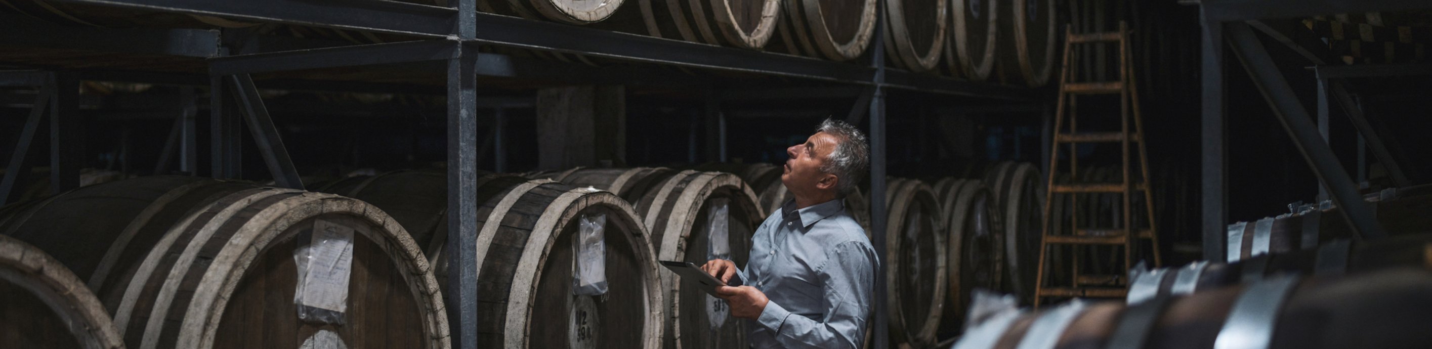 Fine wine cellar