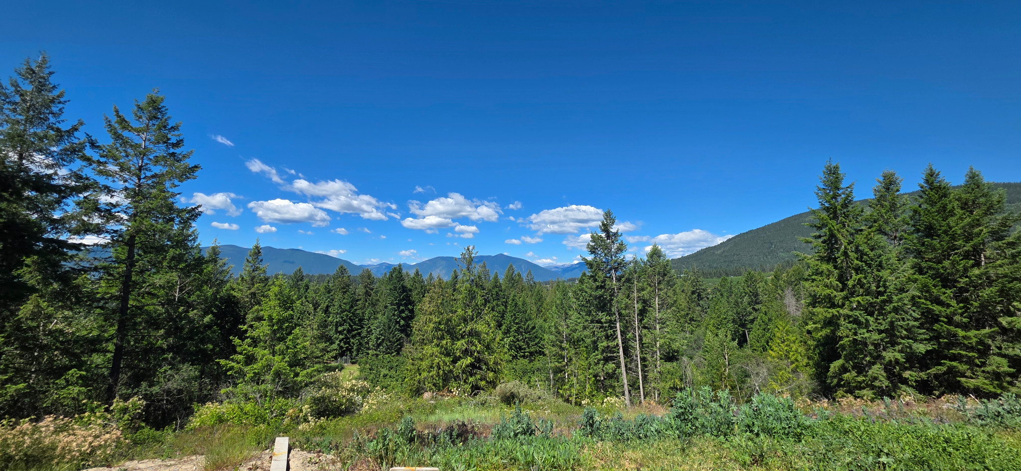 Forested mountains and a green valley beneath a wide blue sky