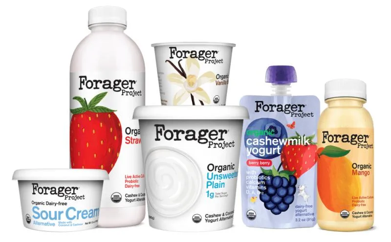 A lineup of Forager Project dairy-free yogurt, sour cream and milk products in assorted flavors