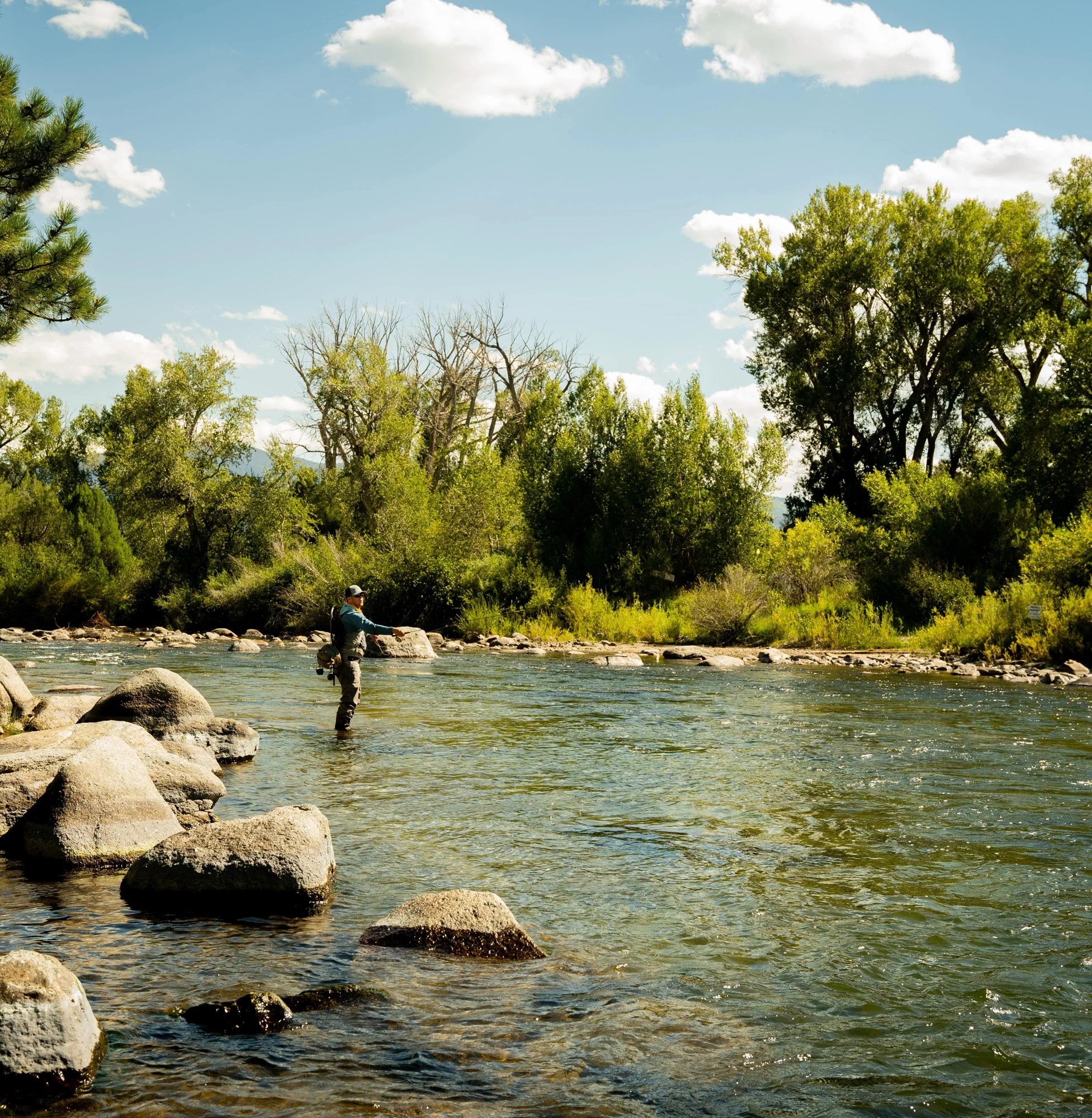 An angler in waders casting a fly rod into a sunlit river lined with cottonwoods and boulders