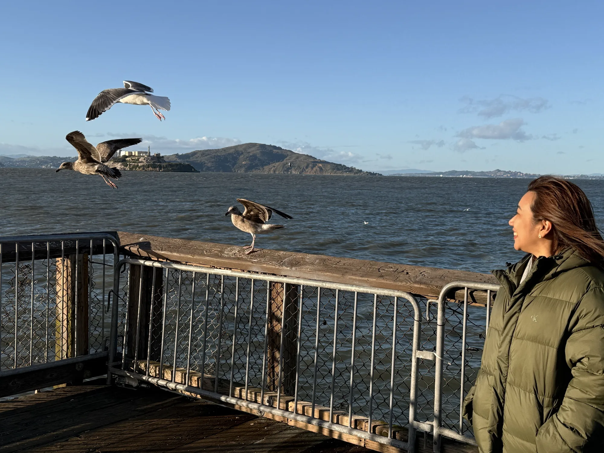 Aom laughing as seagulls fly past