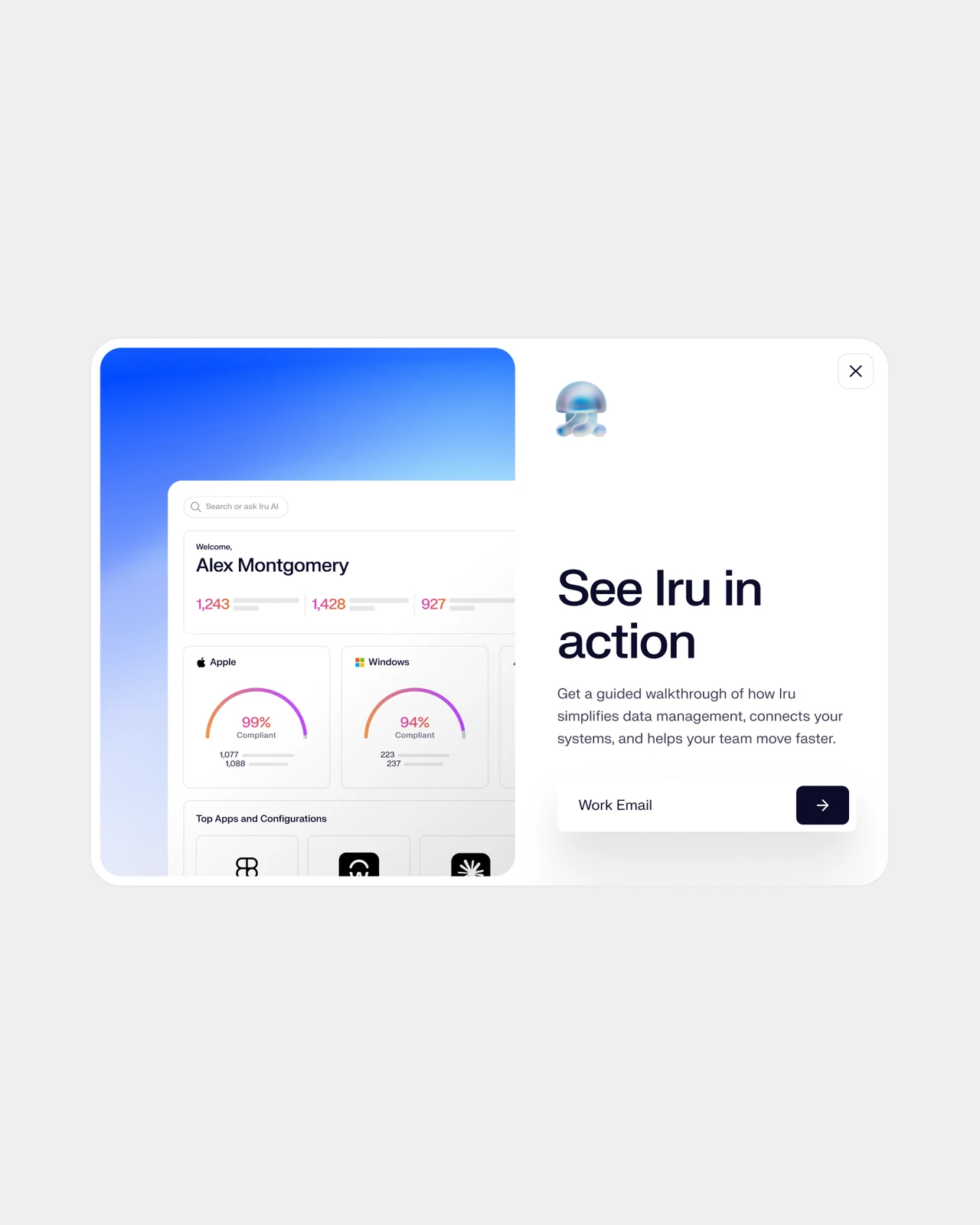 The See Iru in action pop-up: a work email field beside the product dashboard