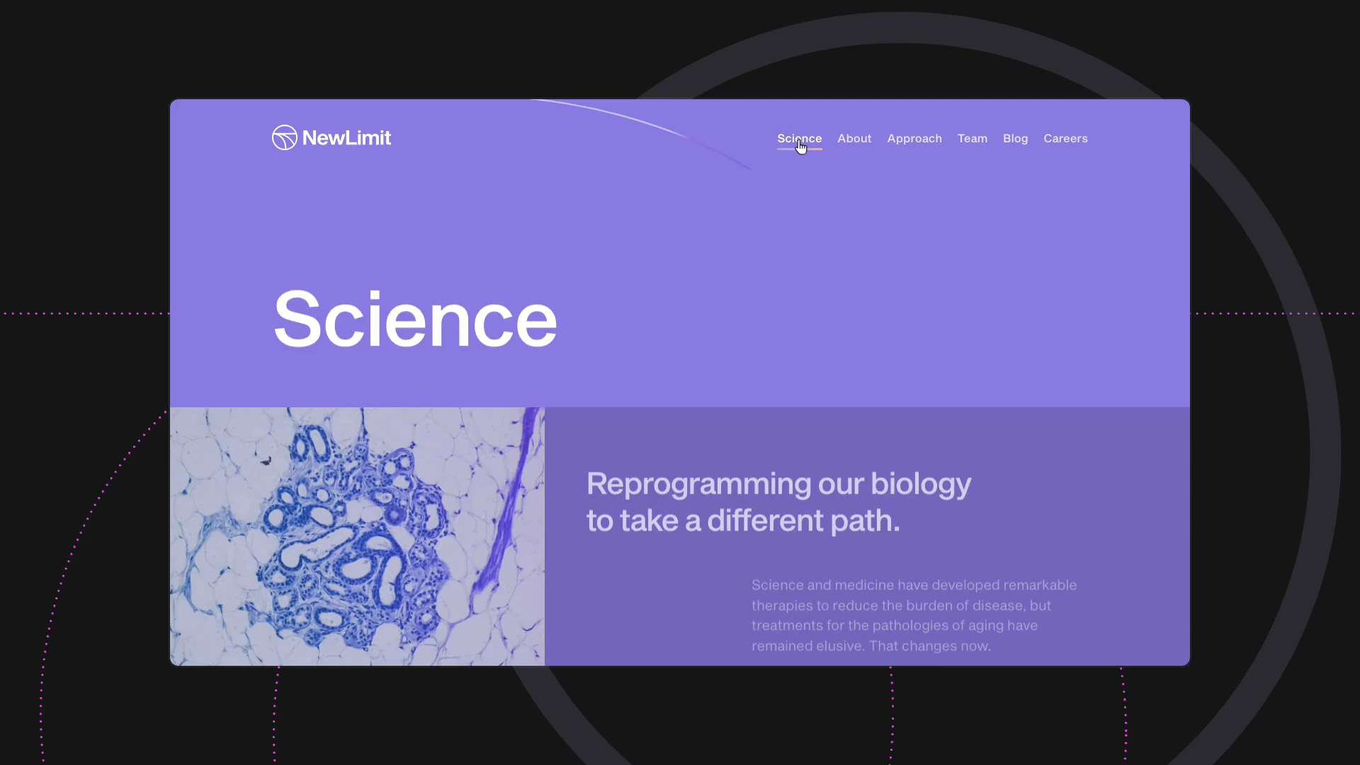 Clicking between Science and Team in the NewLimit navigation, each header loading in through the site's own transition