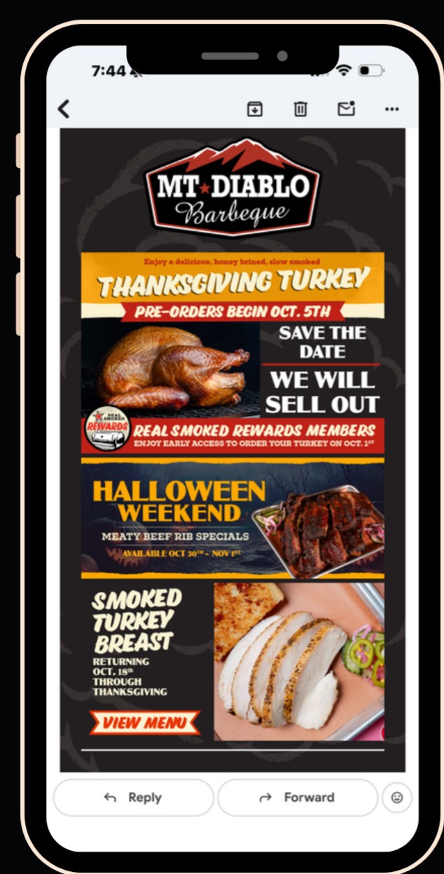 Holiday email campaign
