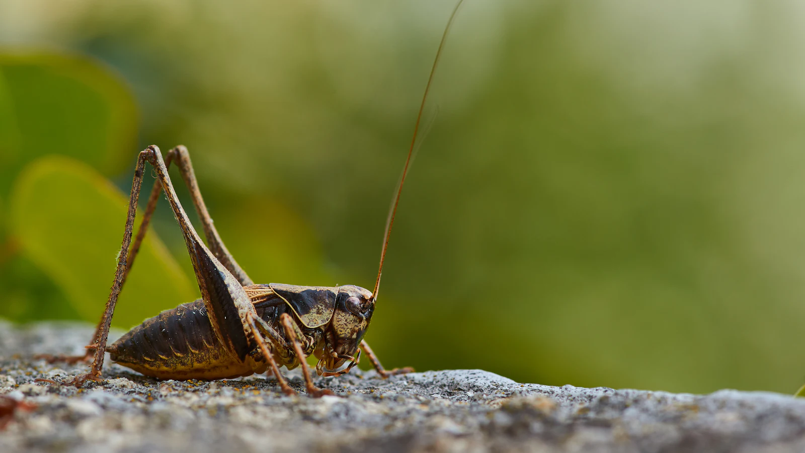 Pretty website. Crickets in your inbox. What gives?