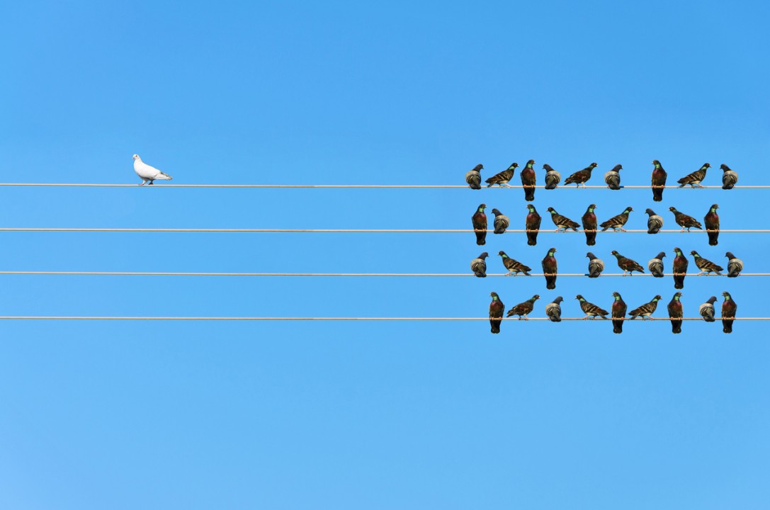 Are You Harnessing the Full Potential of Your Team? Discover the Power of Effective Team Dynamics
