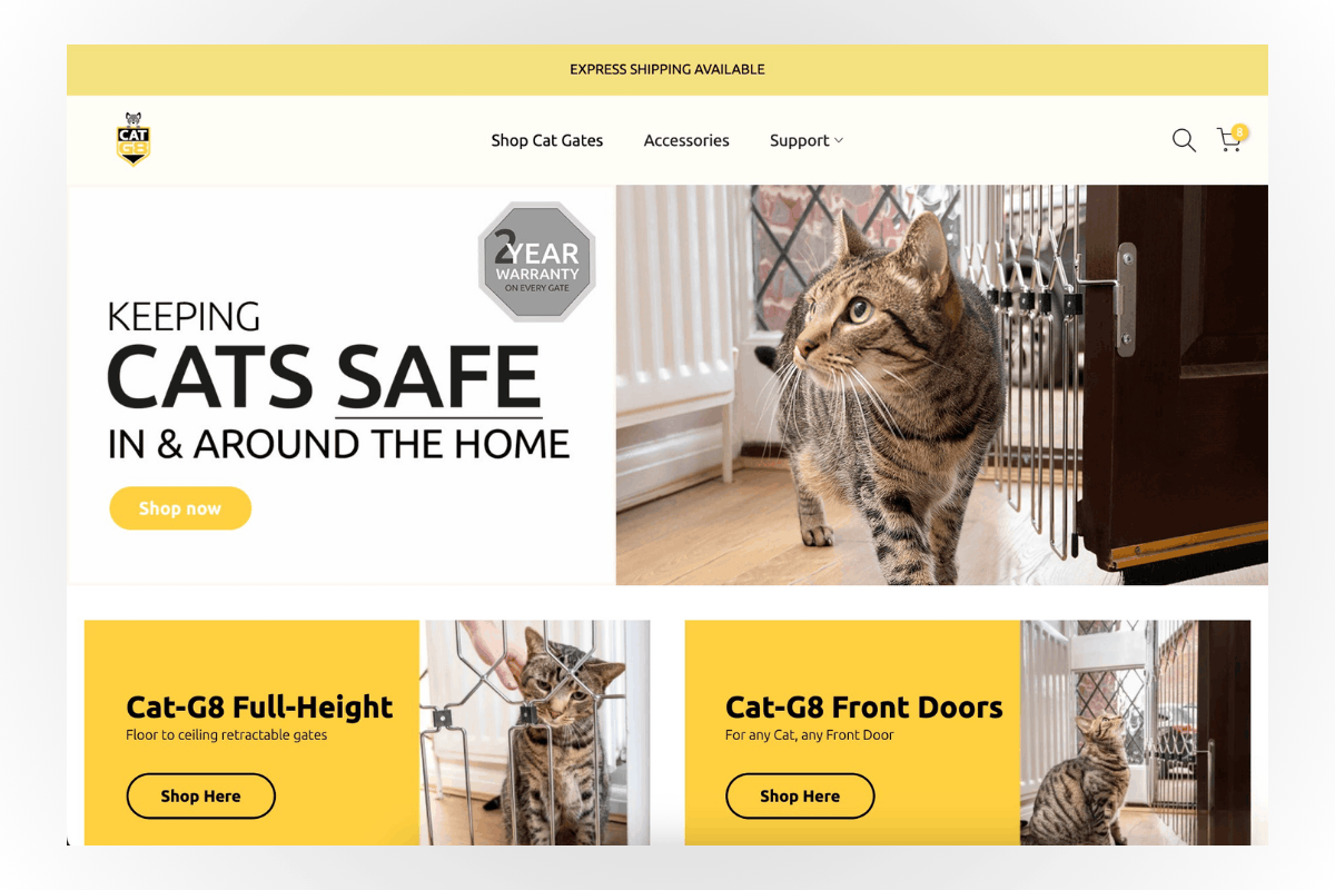 shopify web design