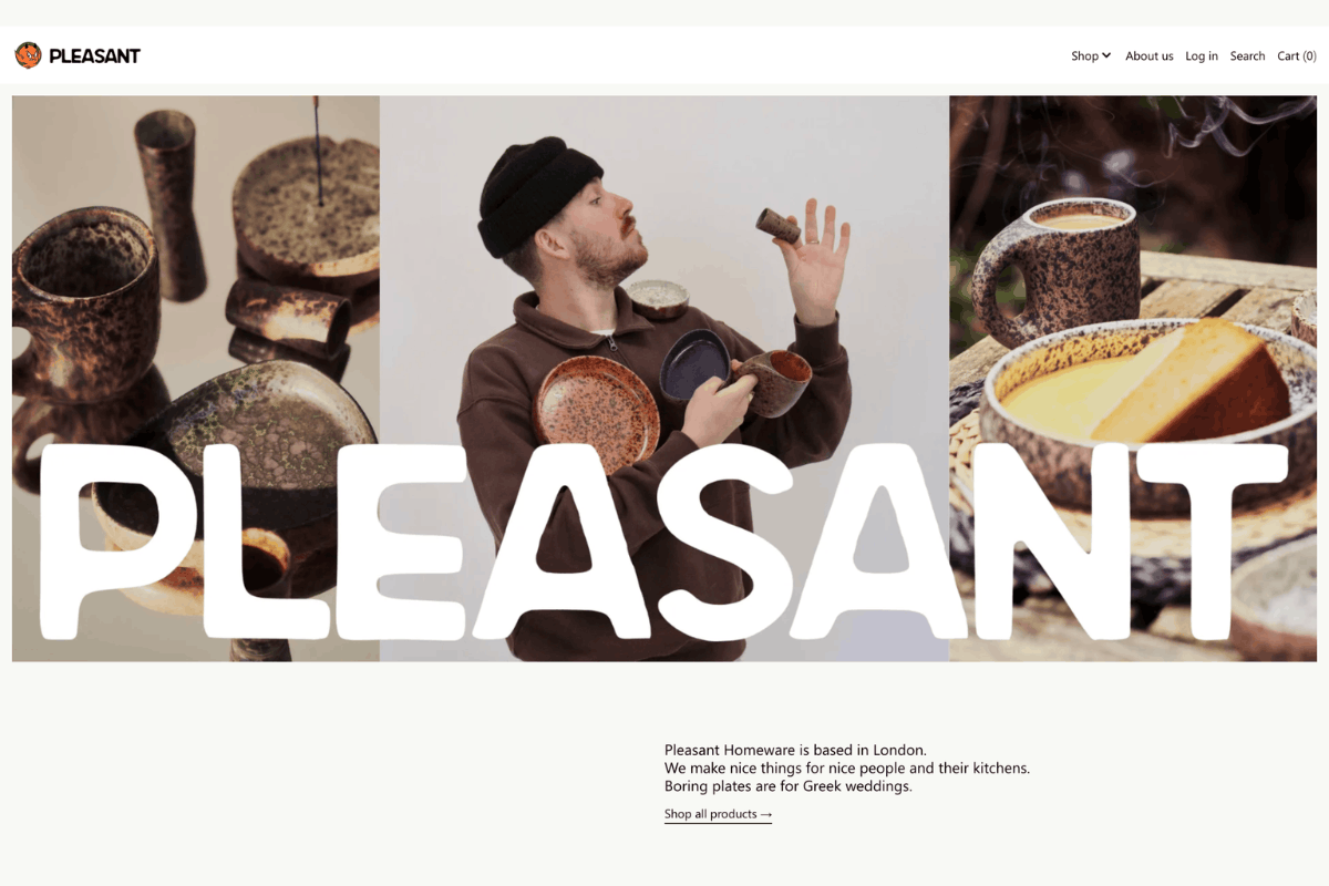 shopify web design