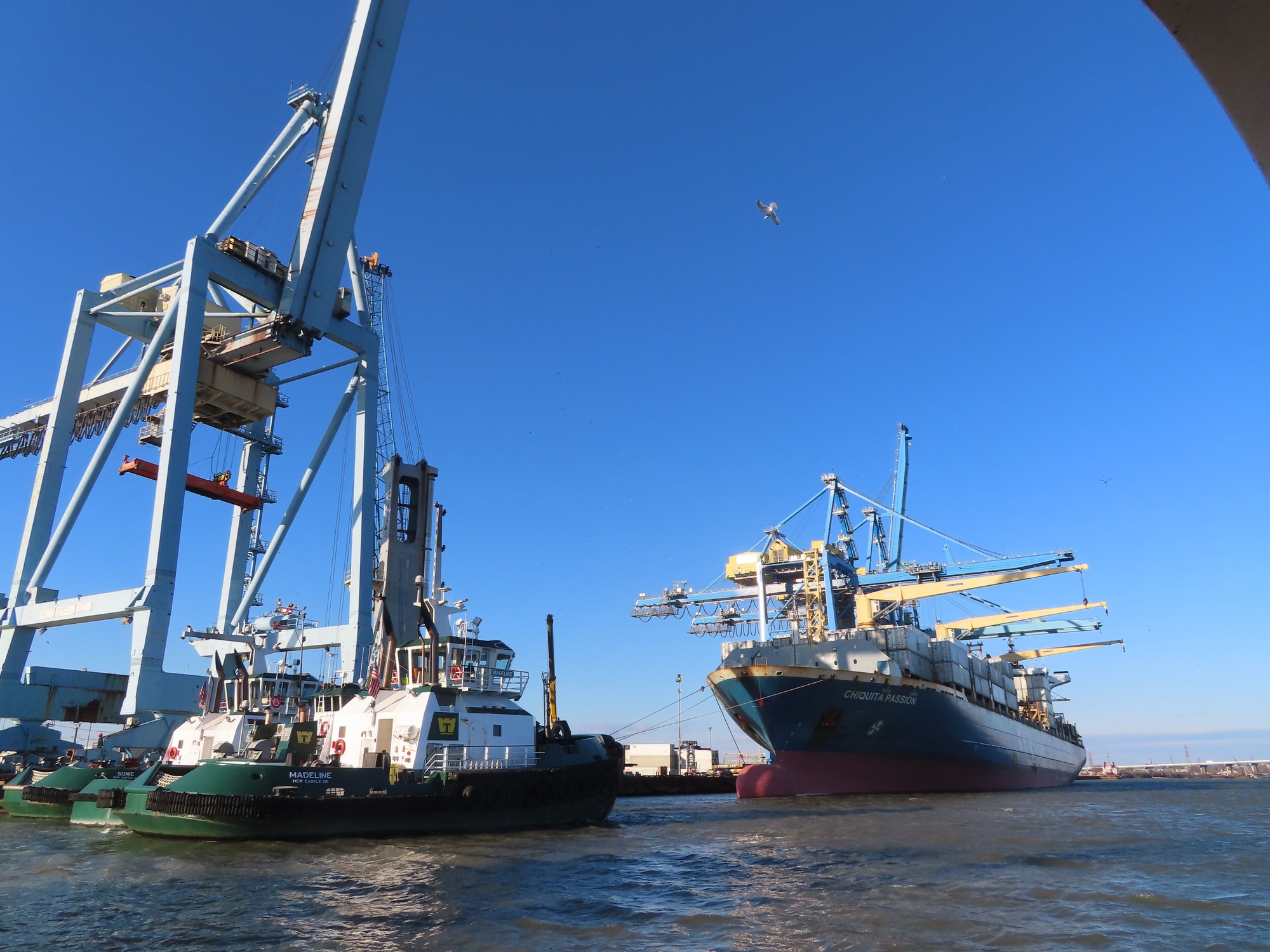 A refrigerated container ship docked under the gantry cranes at the Port of Wilmington, Delaware, with tugboats alongside