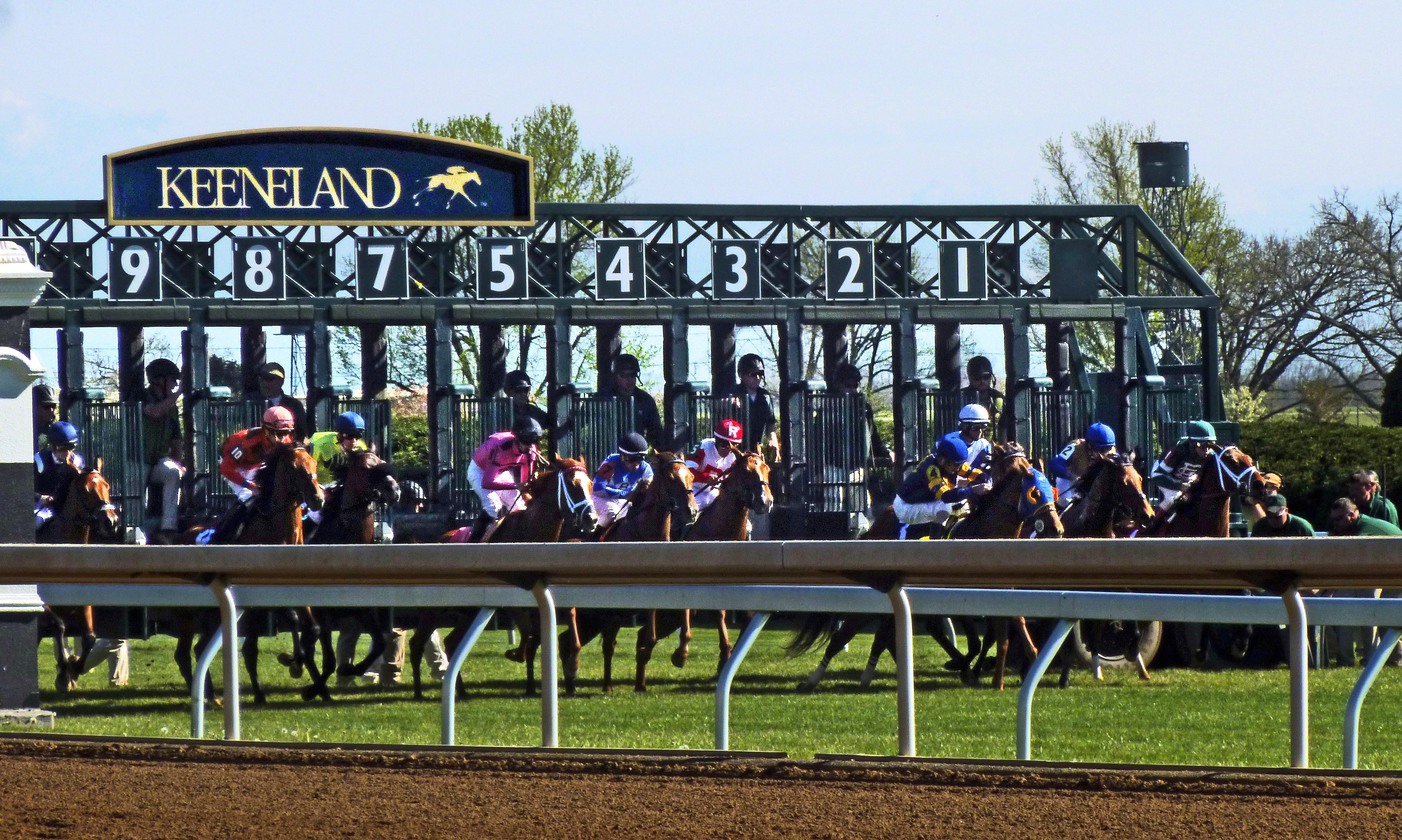 Horses and jockeys break from the starting gate at Keeneland during the 2016 Appalachian Stakes