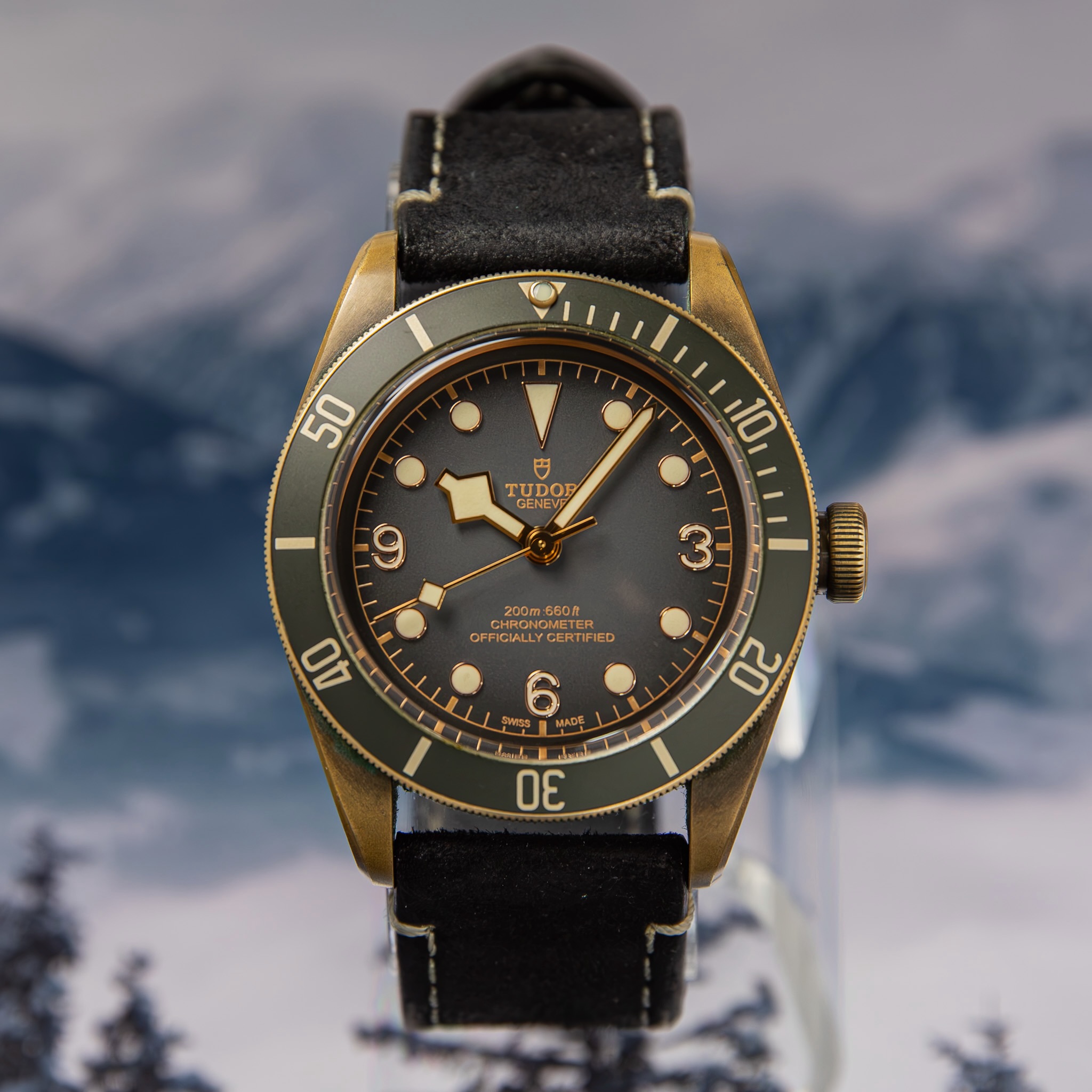 Tudor Black Bay Bronze 79250BA