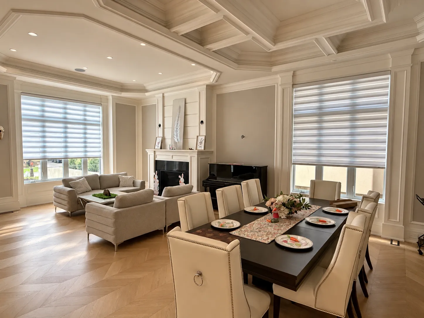 Motorized zebra shades in living room