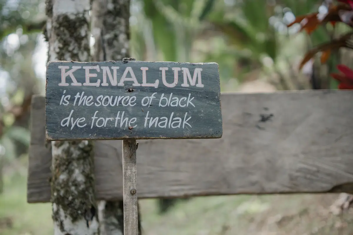 The T’nalak Weaving Process- Lang Dulay Weaving Center, photo 13 of 21