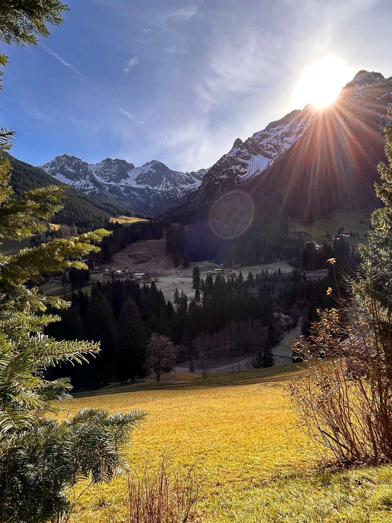 Blick von der Terrasse über die Bergwiese ins Wildental