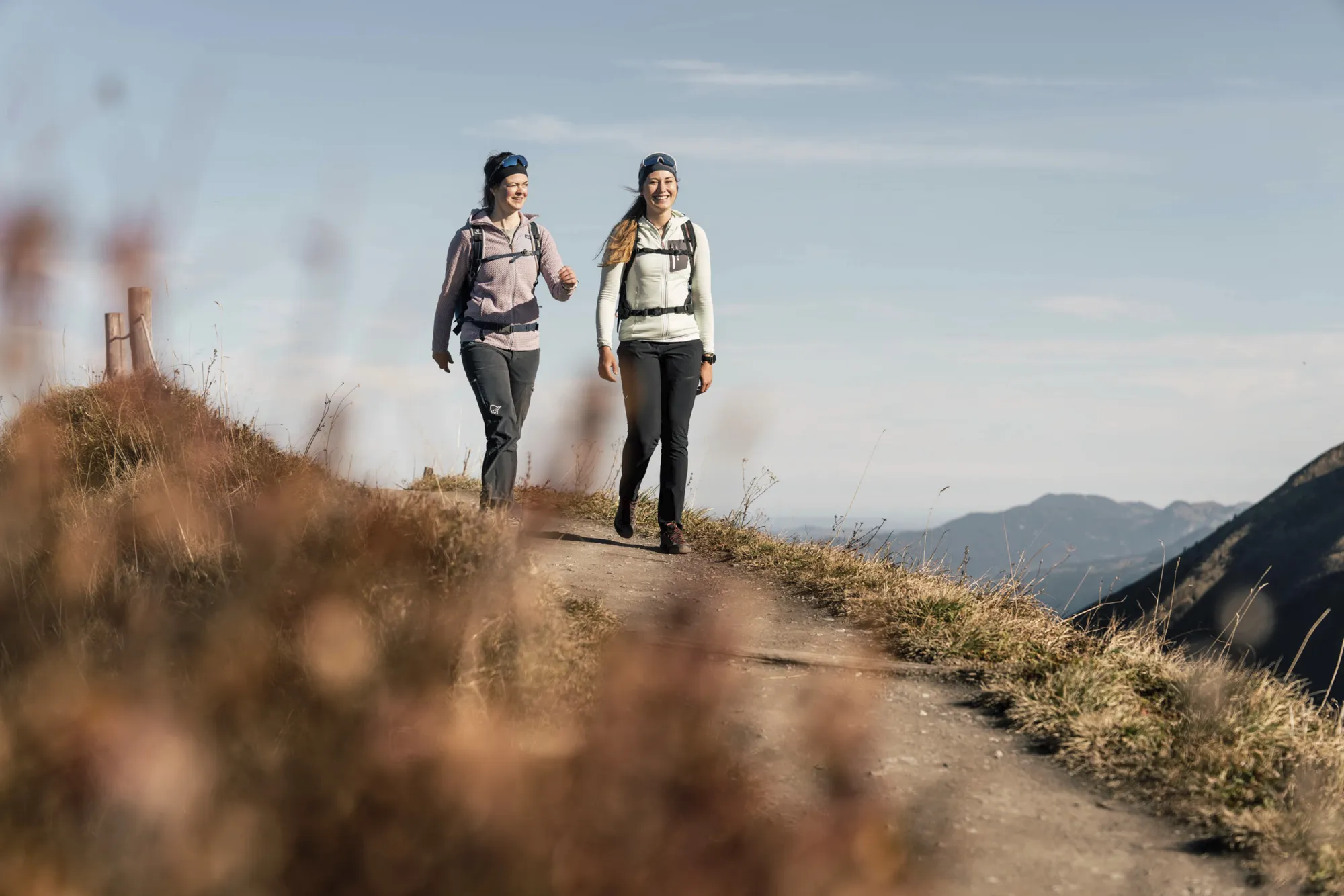Blick über die Bergwiese ins Wildental im Sommer