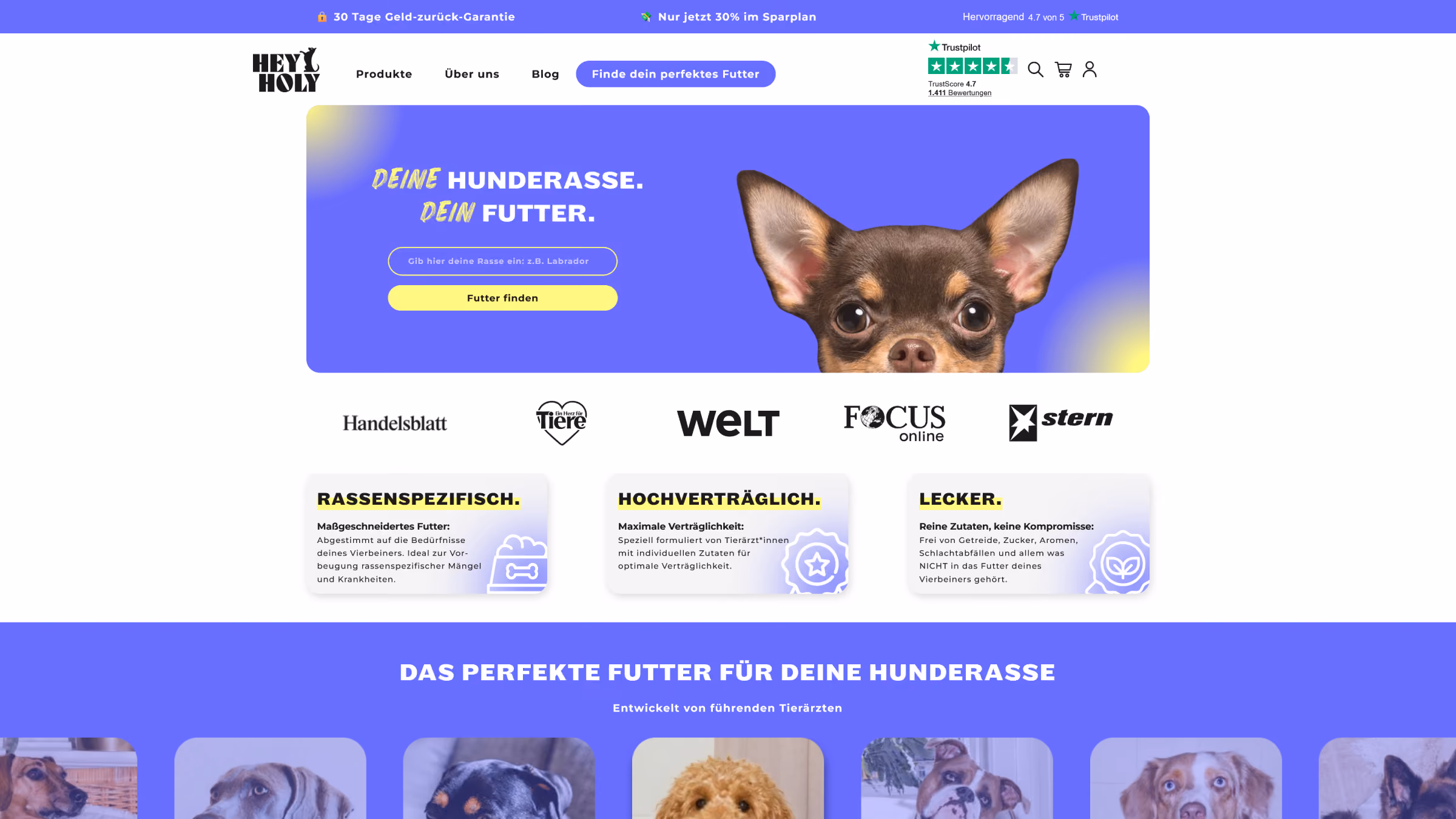 Onlineshop von HEY HOLY auf Desktop und Smartphone