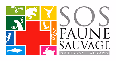 Logo SOS Faune Sauvage avec une croix rouge entourée de carrés colorés représentant des silhouettes d'animaux sauvages.
