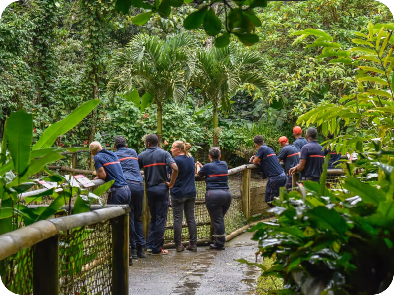 équipe de pompiers accoudé barrière zoo de guadeloupe