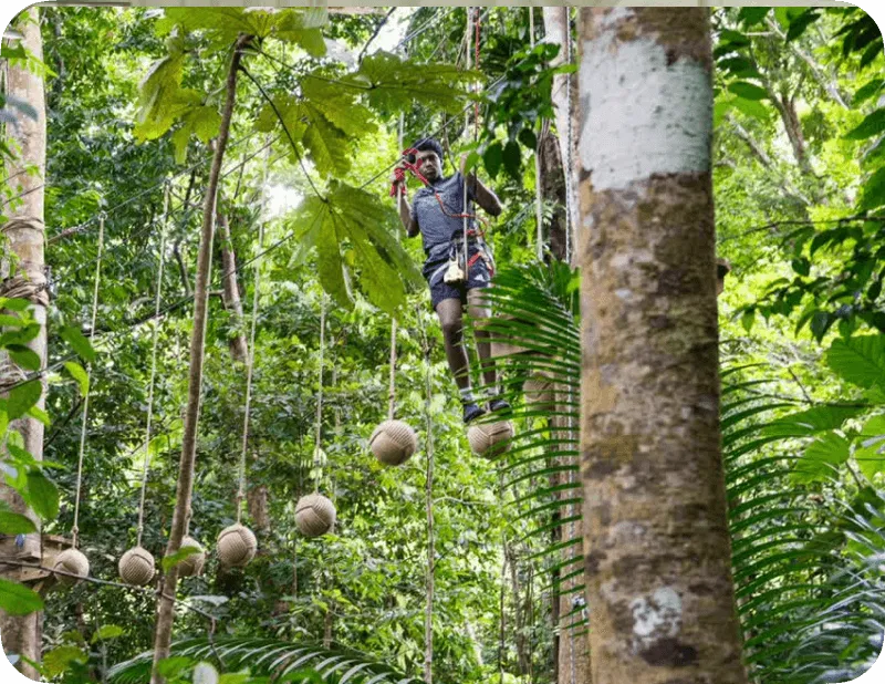 Un homme pratiquant l'accrobranche, suspendu à une corde entre des arbres dans une forêt dense.