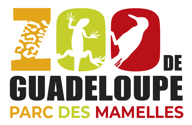 Logo du Zoo de Guadeloupe Parc des Mamelles avec silhouettes d'un lézard, d'un oiseau et motif de peau de léopard.