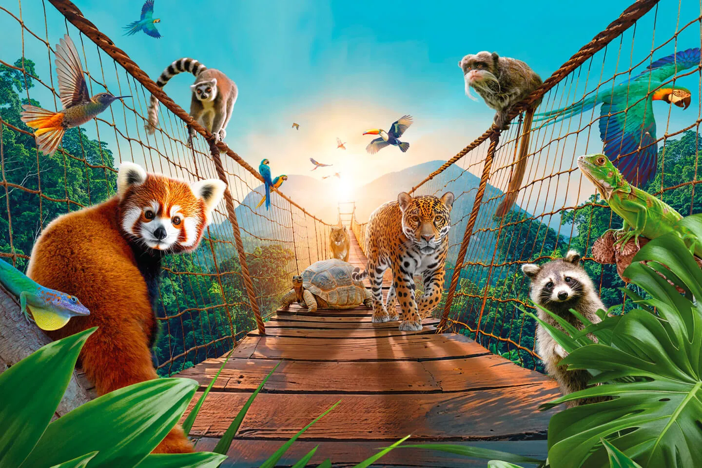 zoo-guadeloupe-image-une