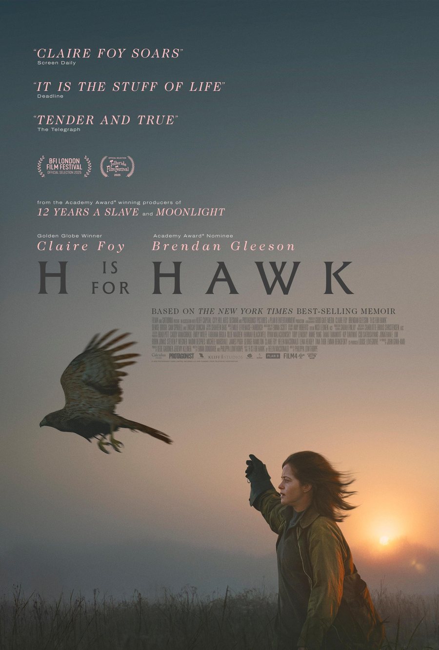 H Is for Hawk, film poster