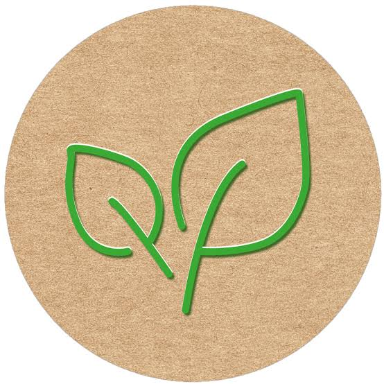 Biologische Reinigung – umweltfreundlich und materialschonend