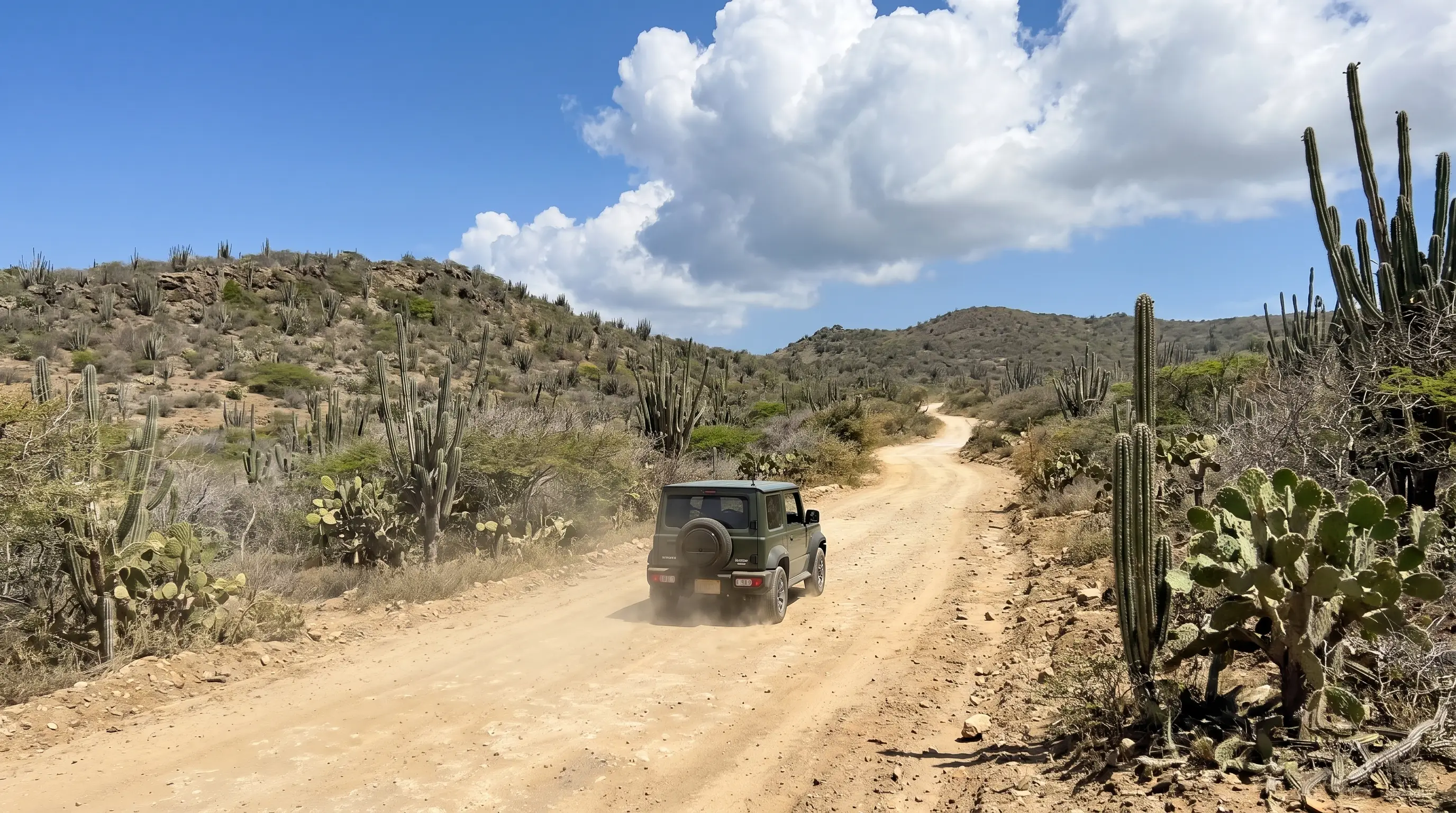 Jeep on a dirt road between cacti in western Curaçao
